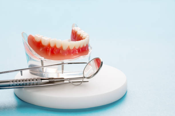 Best Traditional Braces  in Anchorage, KY